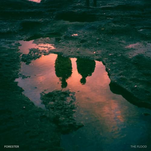 Album cover art for "The Flood" by Forester