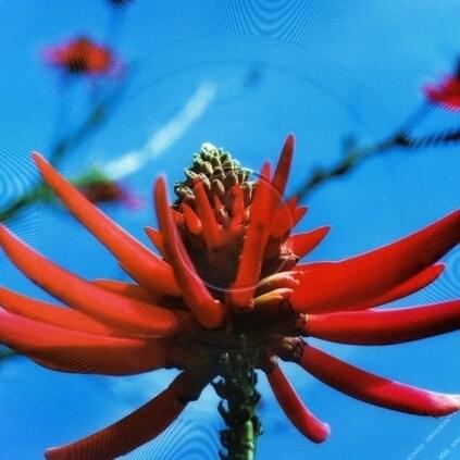 Album cover art for "Precious [Ambient Mix]" by Depeche Mode