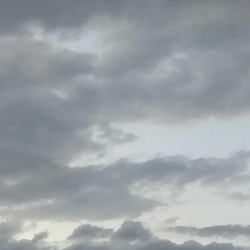 Album cover art for "Forget About The Mist" by Landfill