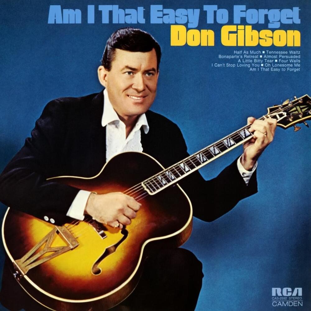 Cover image for Am I That Easy To Forget