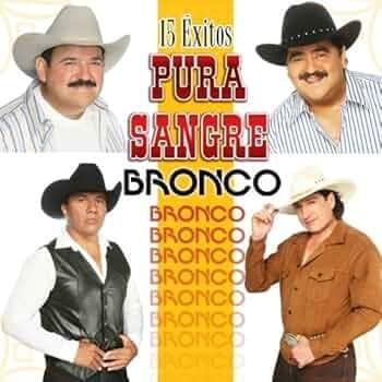 Cover image for 15 Éxitos: Pura Sangre