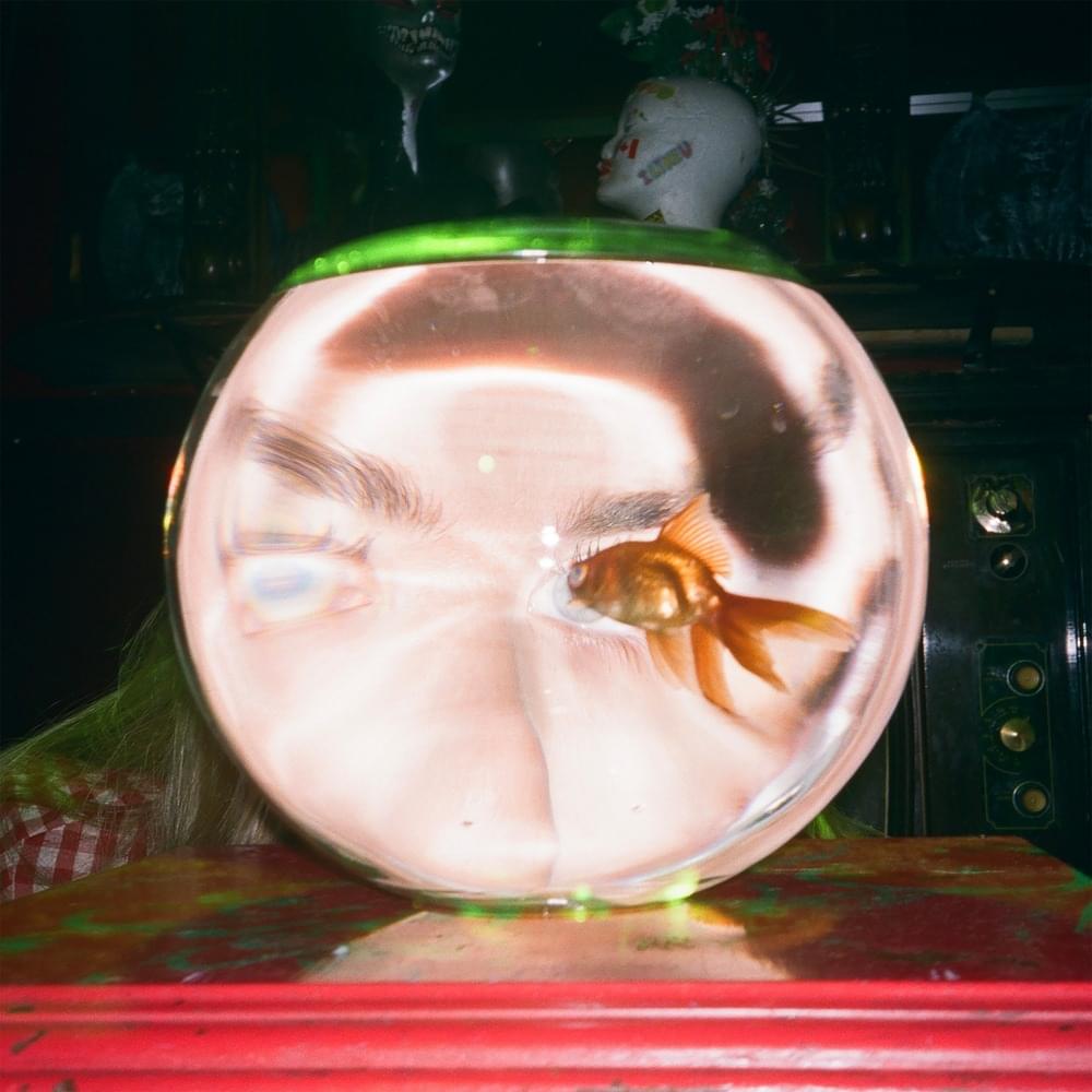Album cover art for "Mary’s At The Carnival" by Daisy the Great