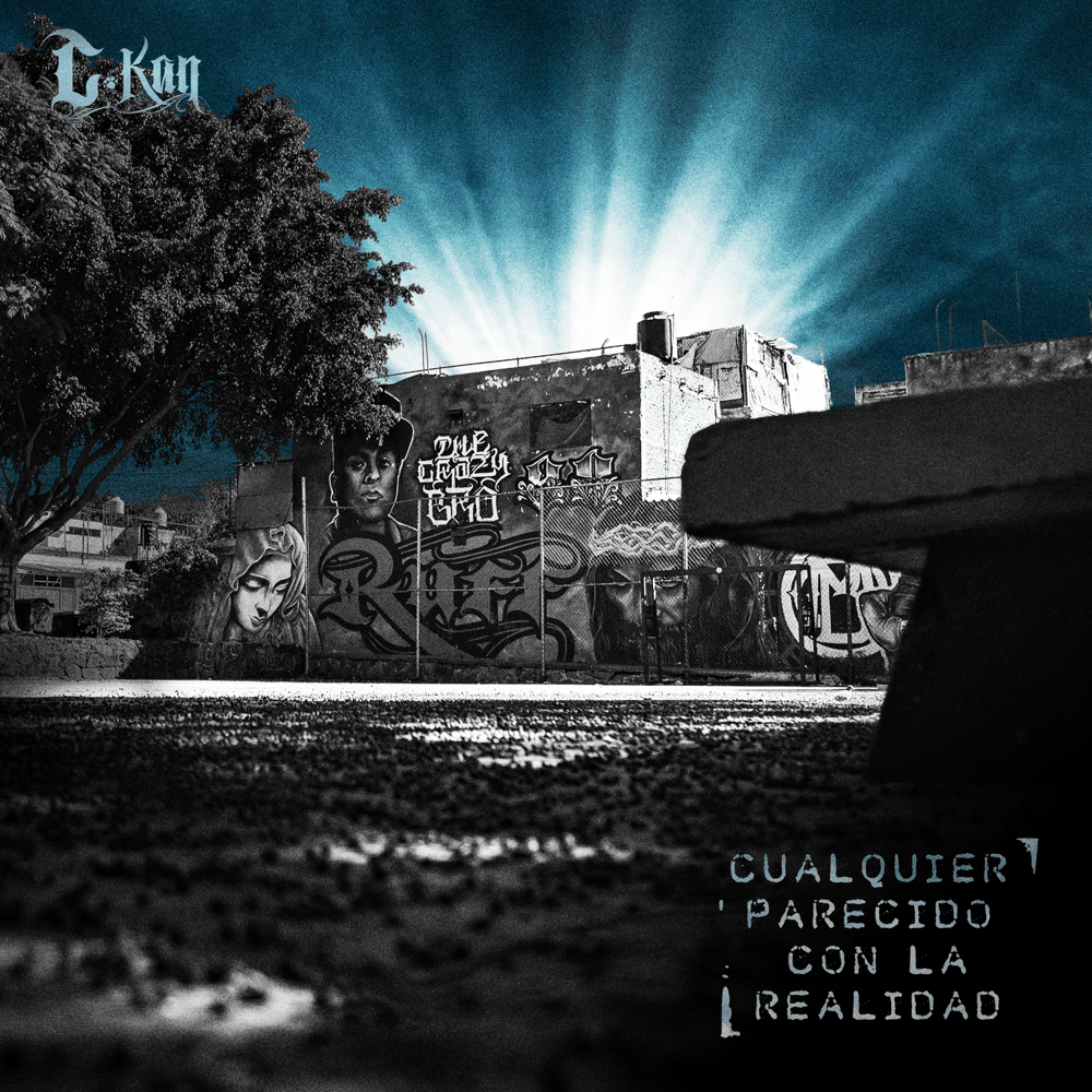 Cover image for Cualquier Parecido con La Realidad