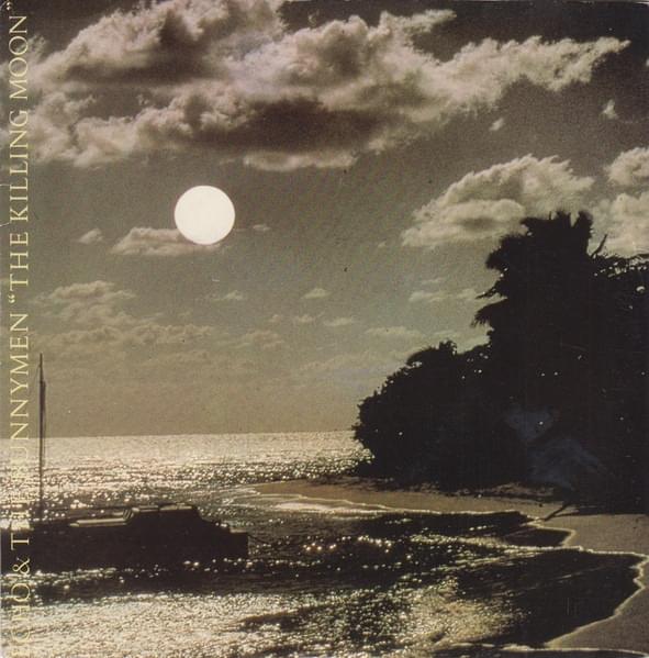 The Killing Moon by Michael Andrews