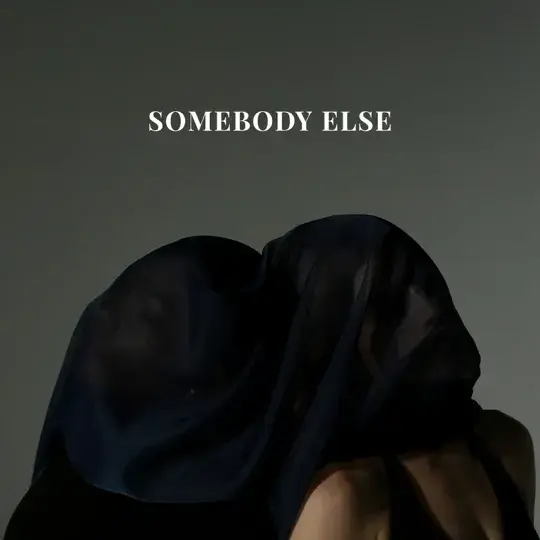 Album cover art for "Somebody Else" by Ruelle