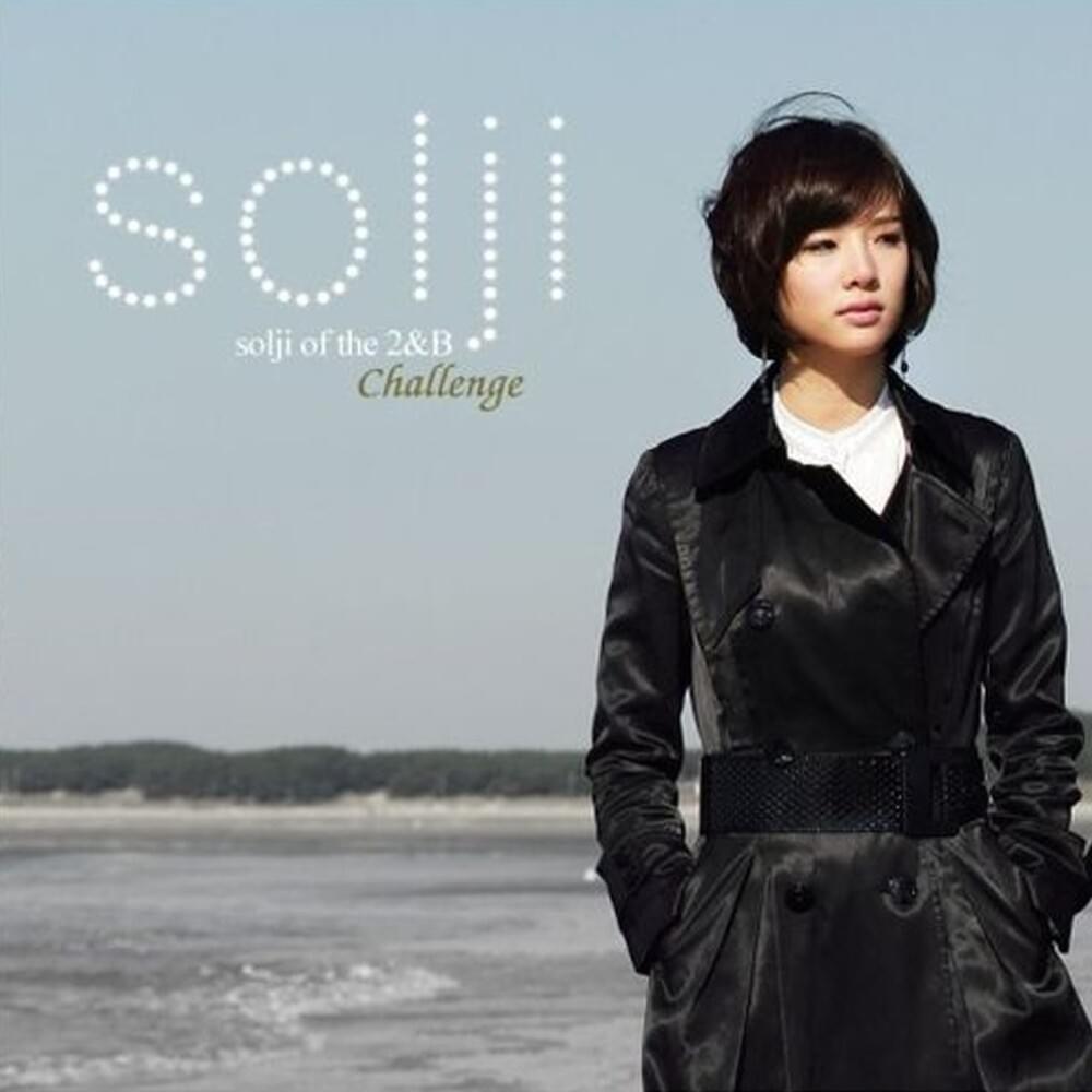 Cover image for Challenge