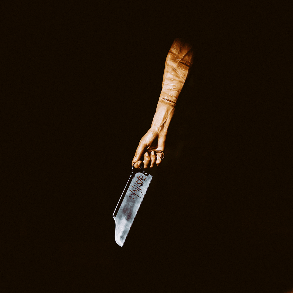 Cover image for N / O / I / S / E