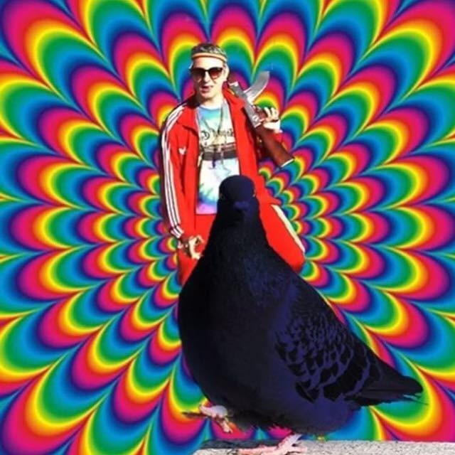 Album cover art for "Pigeon bleu" by Julius On The Wave