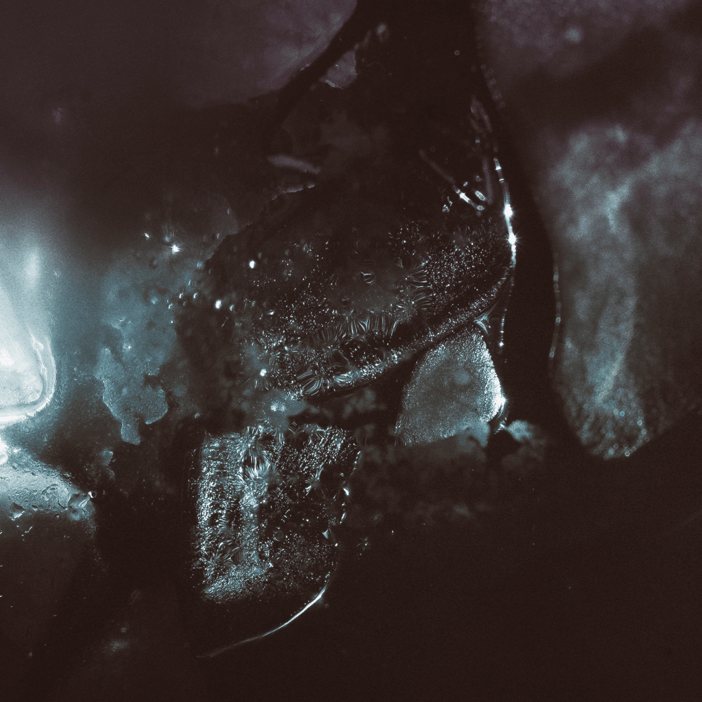 Album cover art for "Do" by Son Lux