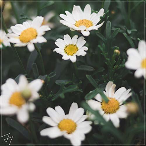 Album cover art for "Be Alright" by Madilyn