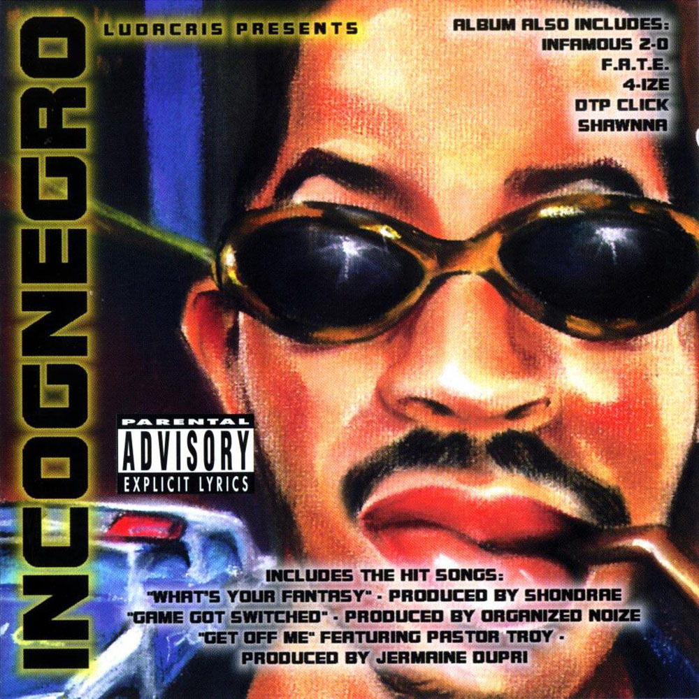 Cover image for Incognegro