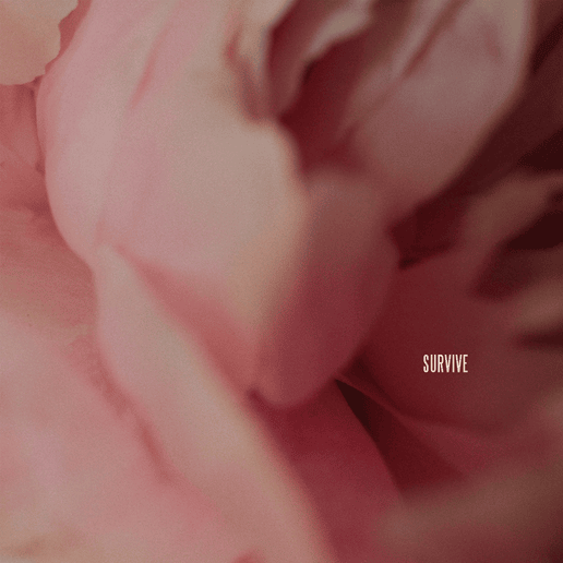 Cover image for Survive