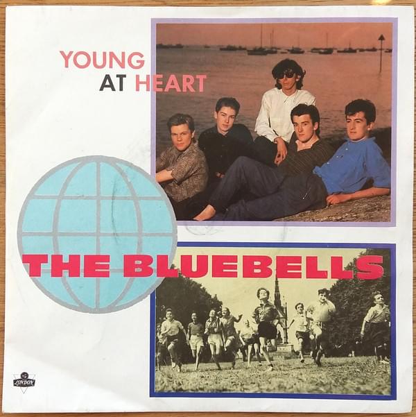 Album cover art for "Young at Heart" by NOW That’s What I Call Music!