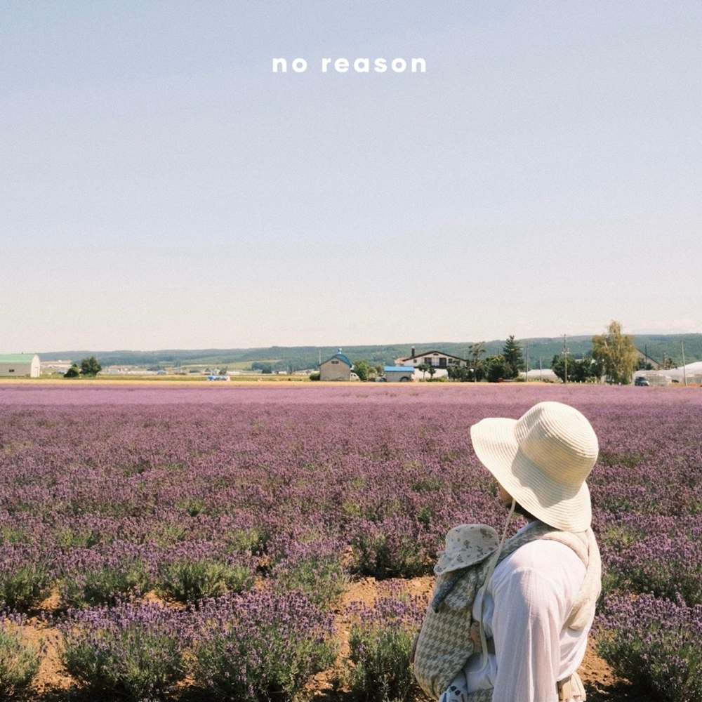 Album cover art for "no reason" by Sarah Kang
