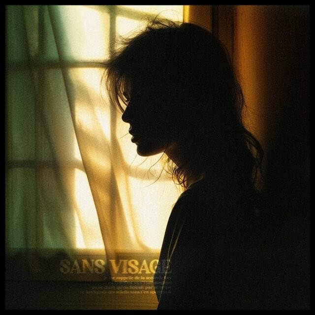 Cover image for Sans visage