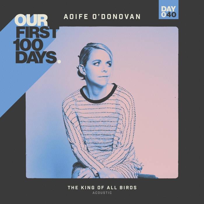 Album cover art for "The King of All Birds (Acoustic)" by Aoife O’Donovan