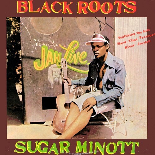 Cover image for Black Roots