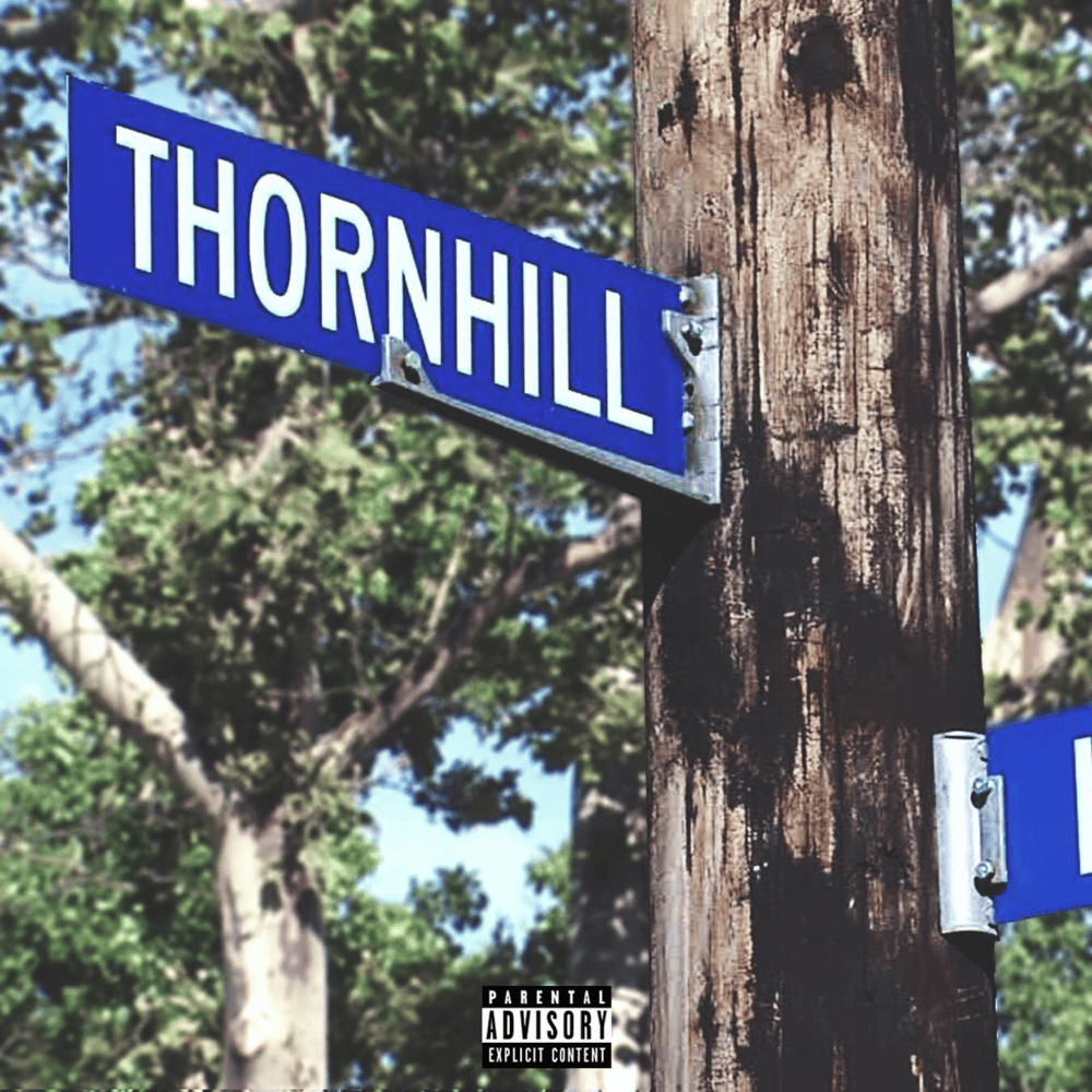 Cover image for Thornhill