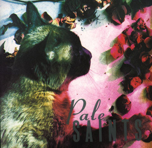 Sight of You by Pale Saints