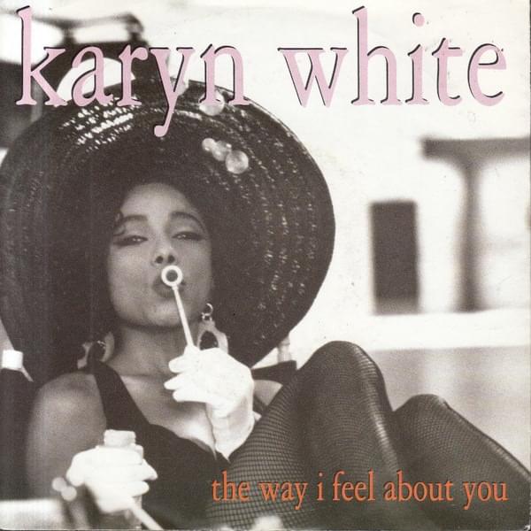 The Way I Feel About You by Karyn White
