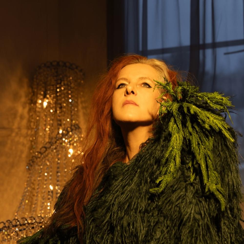 Cover image for Neko Case