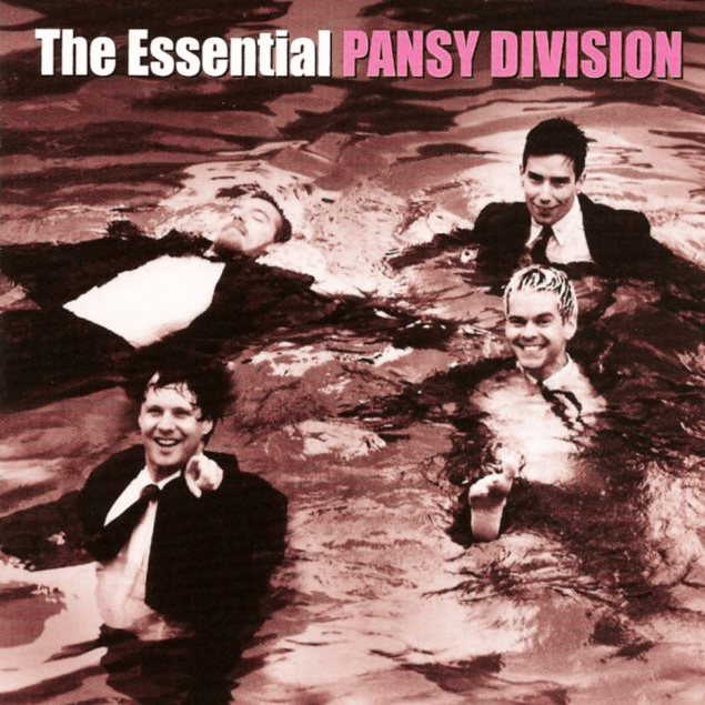 Cover image for The Essential Pansy Division