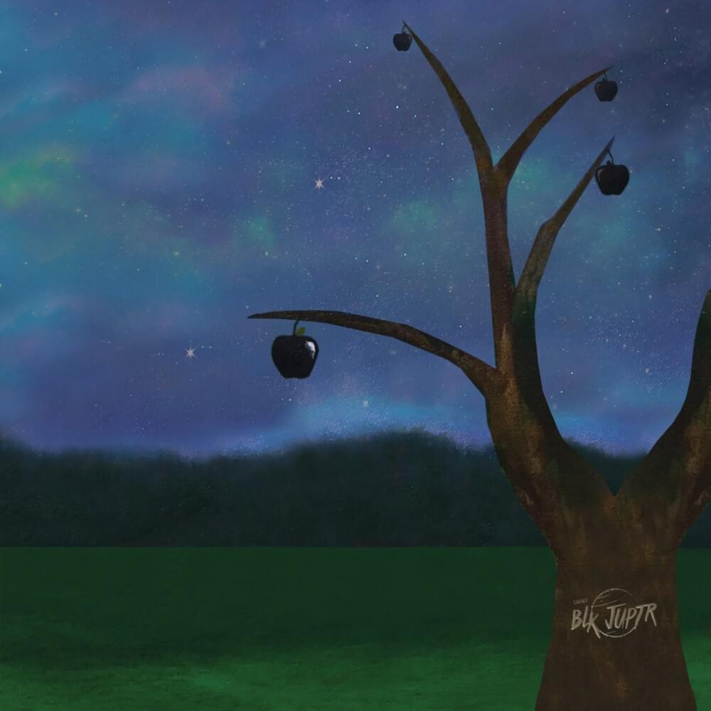 Cover image for blkjuptr 