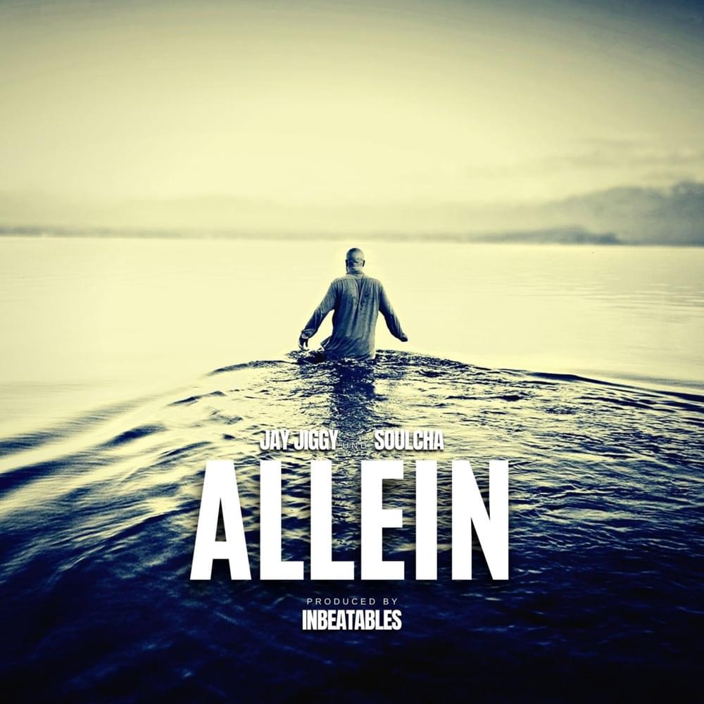 Album cover art for "Allein" by Jay Jiggy
