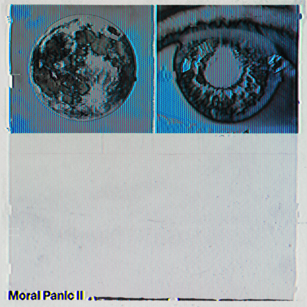 Cover image for Moral Panic II