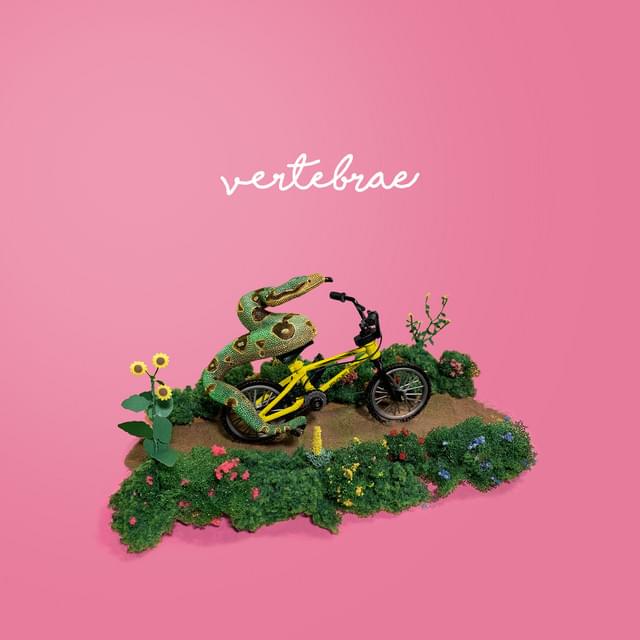 Album cover art for "Vertebrae" by Tiny Moving Parts