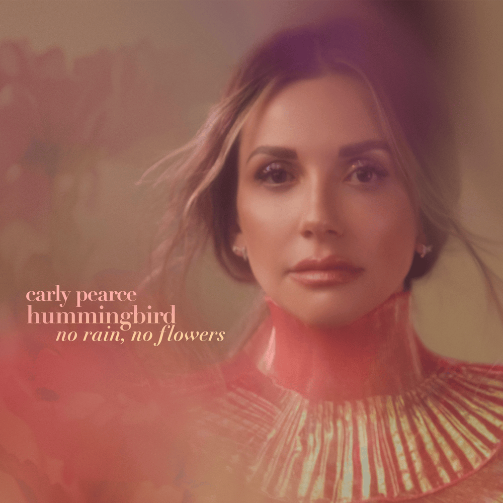 Cover image for hummingbird: no rain, no flowers (deluxe)