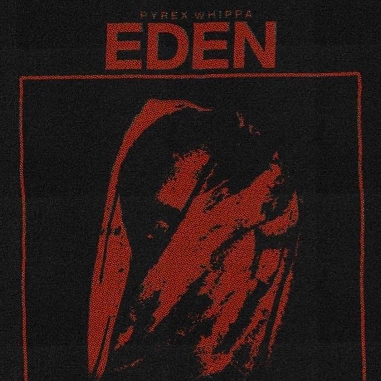 Cover image for Eden