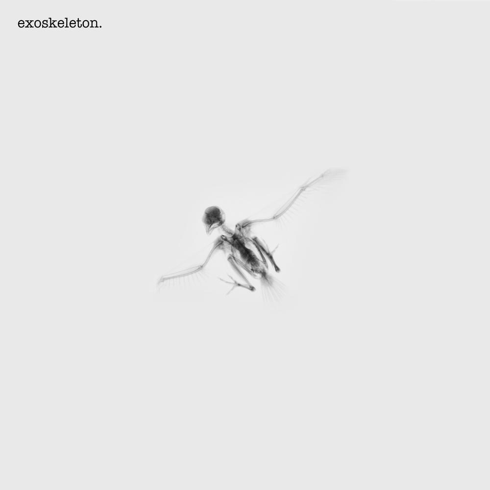 Album cover art for "Exoskeleton" by VANT