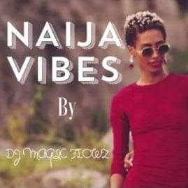 Cover image for Naija Vibes