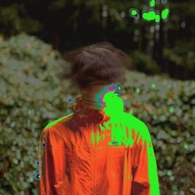 Photo of QUIET BISON