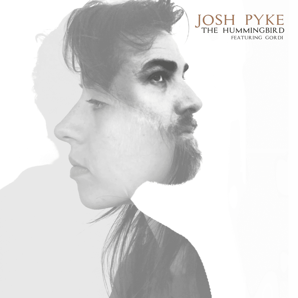 Album cover art for "The Hummingbird" by Josh Pyke & Gordi