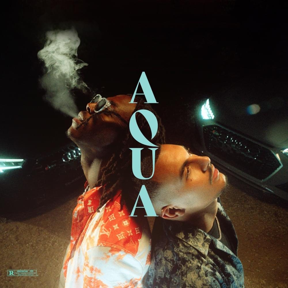 Album cover art for "Aqua" by RK & Koba LaD