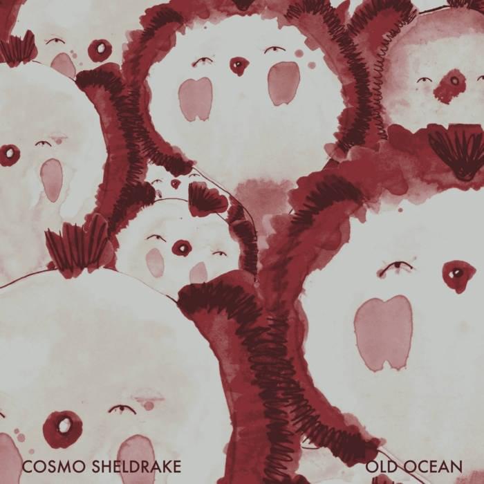 Album cover art for "Old Ocean" by Cosmo Sheldrake