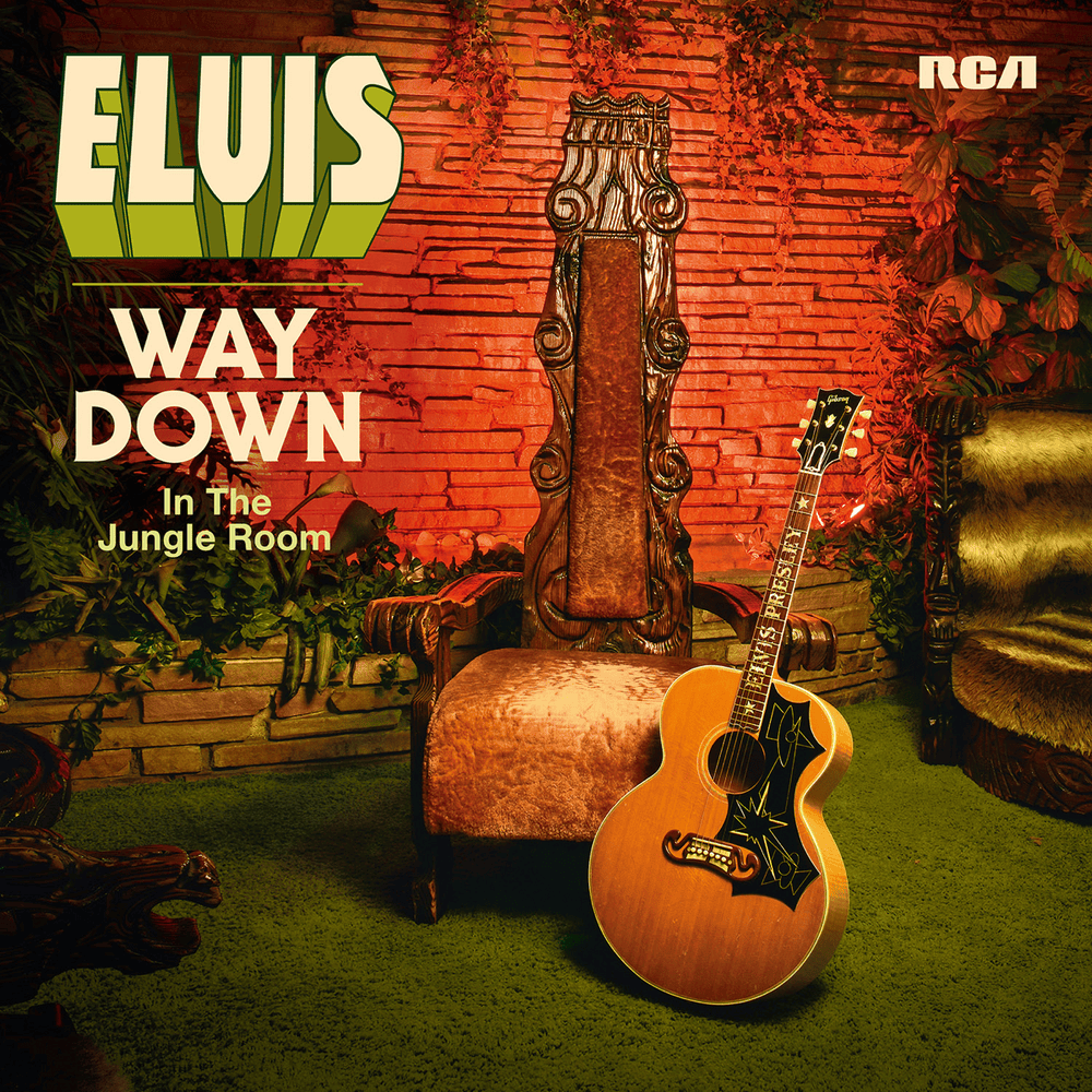 Cover image for Way Down In the Jungle Room