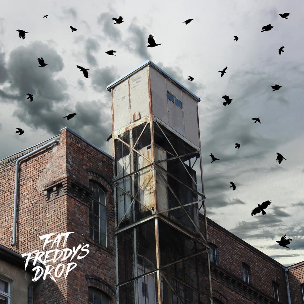 Cover image for Blackbird Returns