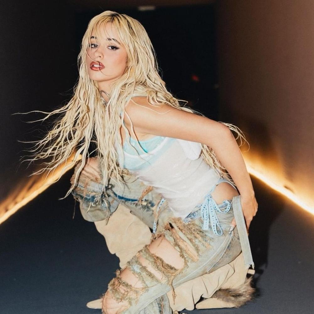 Cover image for Camila Cabello