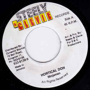 Hortical Don by Ninjaman