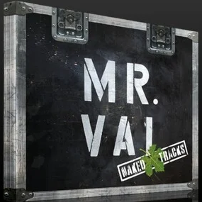 The Blood & Tears by Steve Vai