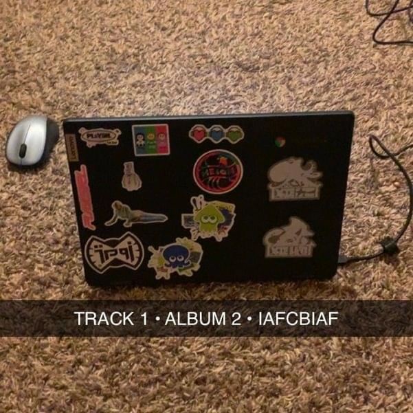 Album cover art for "I AM FUCKING CRAZY ... BUT I AM FREE" by chicagoland