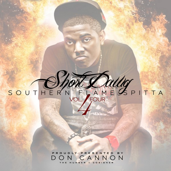 Cover image for Southern Flame Spitta 4