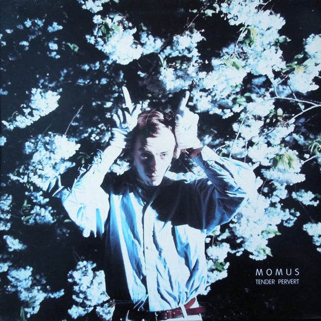 The Homosexual by Momus
