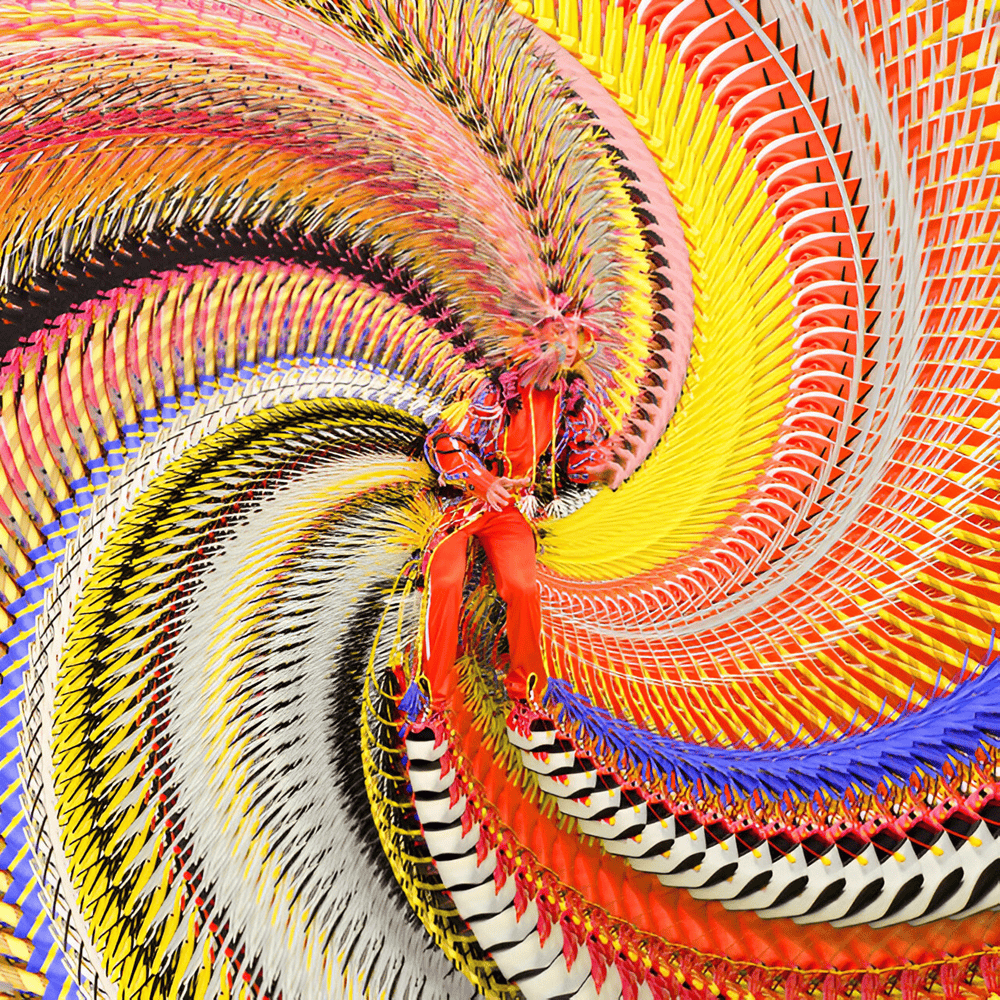 Album cover art for "The Avant Garde" by David Byrne