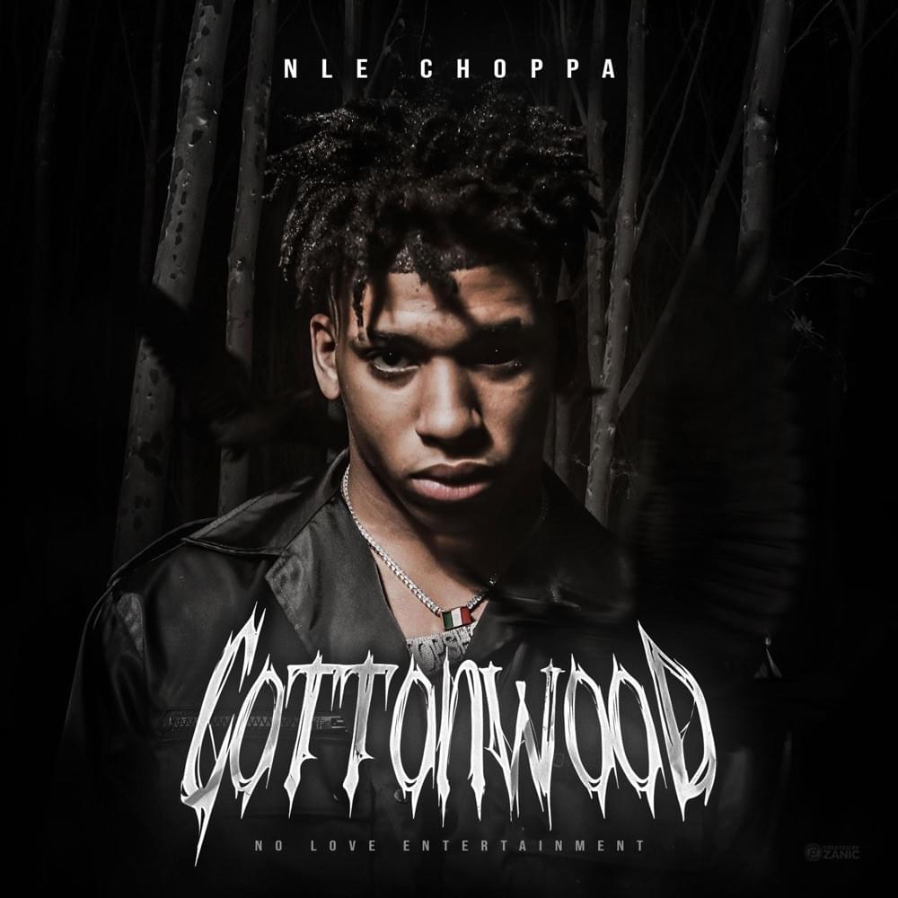 Album cover art for "N.W.A." by NLE Choppa