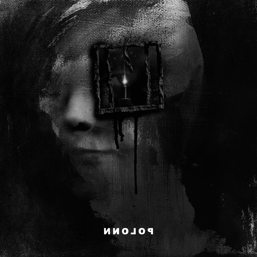 Cover image for POLONN DELUXE