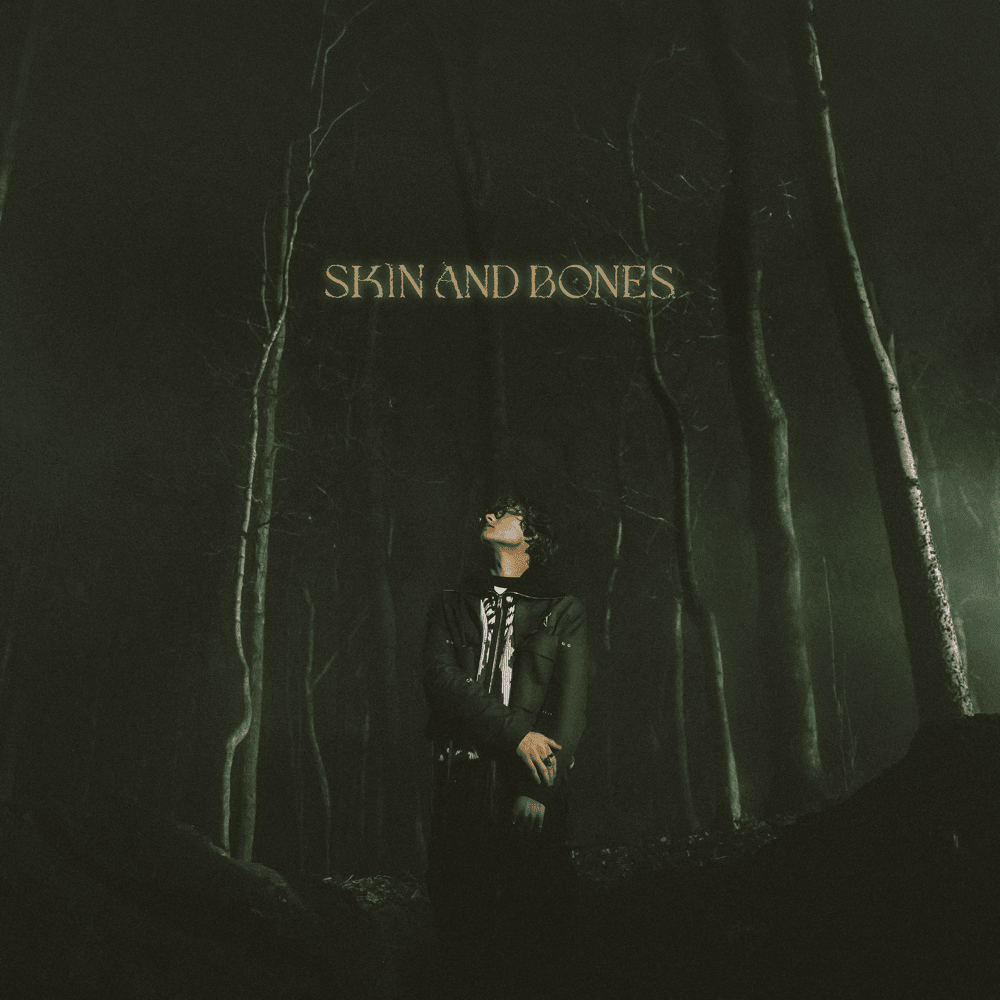Album cover art for "Skin and Bones" by Bravo Hits